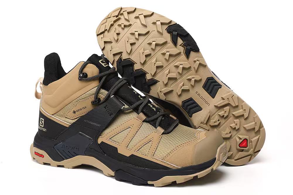Salomon X BRAZE GTX 