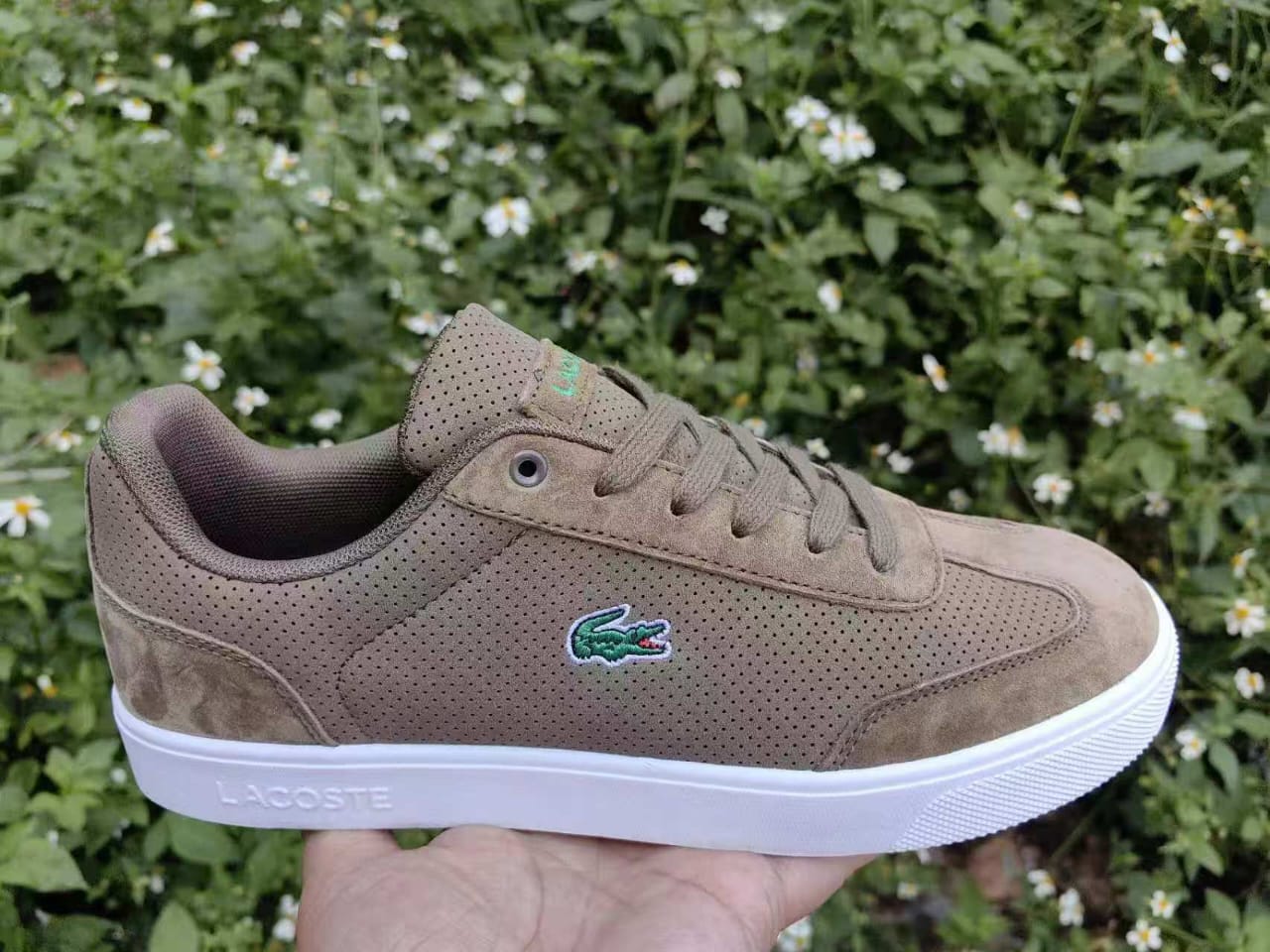 Lacoste Sneakers